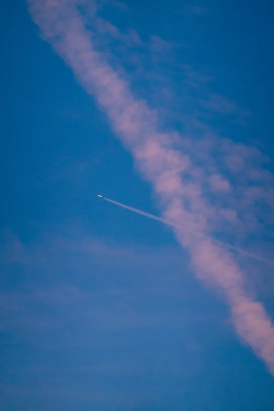 A plane flies through past contrails, both are lit pink by the sunset