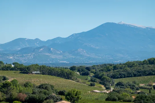 The Mont Ventoux stands tall in the background, beneath a clear blue sky, with a vineyard in the foreground and white sign spelling VAUDIEU