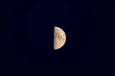 The moon, in its first quarter phase, in a black night sky