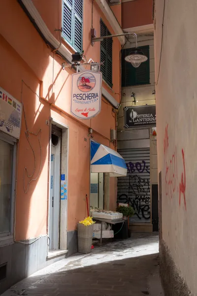 A narrow pedestrian street, light coming through the right, a fish shop is open