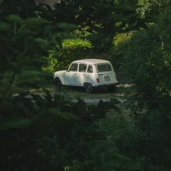 An older white car parked alone in a green area, trees and greenery all around.