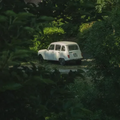 An older white car parked alone in a green area, trees and greenery all around.