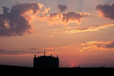 A cloudy sky after sunset with the last few red rays of the sun still visible, the clouds above lit yellow and orange. A dark building and rooftops in the foreground, a small flock of birds flying above.