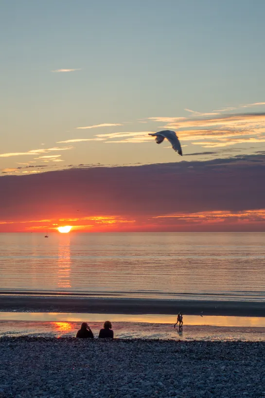 On a beach looking at the sea and the sunset. People sitting. A seagull flies by. A sailing boat far in the distance.