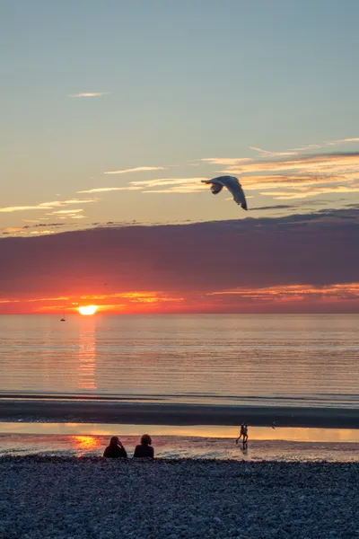 On a beach looking at the sea and the sunset. People sitting. A seagull flies by. A sailing boat far in the distance.