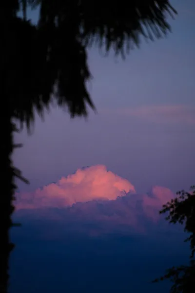Large clouds on the horizon, partially lit red from the sunset. A palm tree in the foreground.