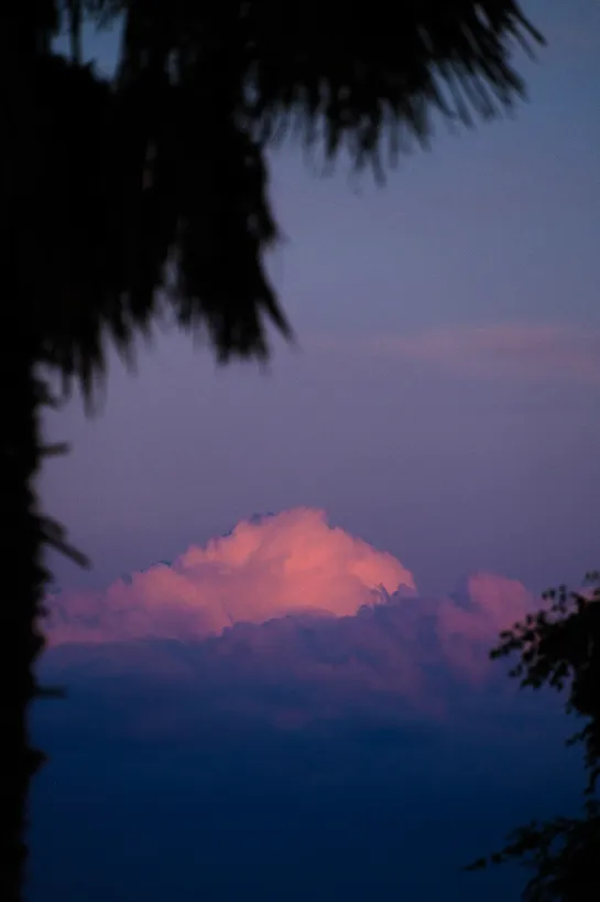 Large clouds on the horizon, partially lit red from the sunset. A palm tree in the foreground.