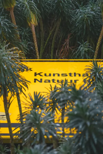 A yellow sign fallen in exotic looking plants