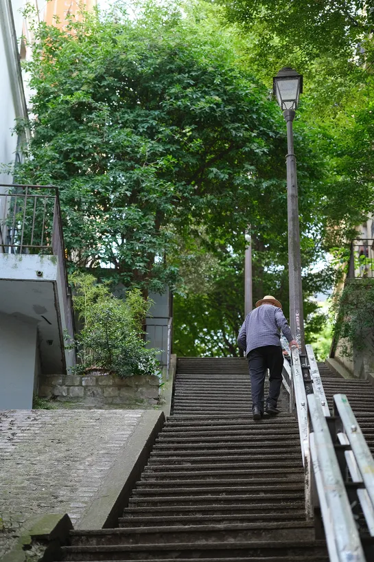 Looking up at very long and steep stairs, an older person walks up the steps, beneath a lamppost and green trees