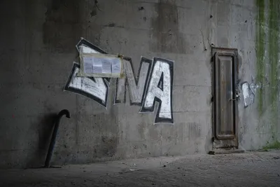 On a weathered concrete wall, in dim light, a metal door, a tag covered by a municipal decree, and a plastic pipe