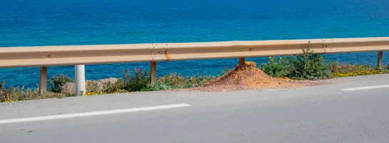 A road guardrail against the backdrop of a deep blue sea, foliage is below the rail