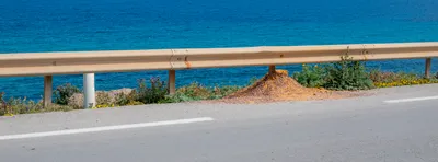 A road guardrail against the backdrop of a deep blue sea, foliage is below the rail