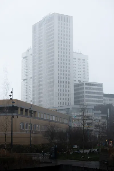 Tall white buildings appear above, despite the fog