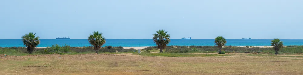 Five palm trees, equally spaced, face the beach. Between them, in the horizon, three ships.