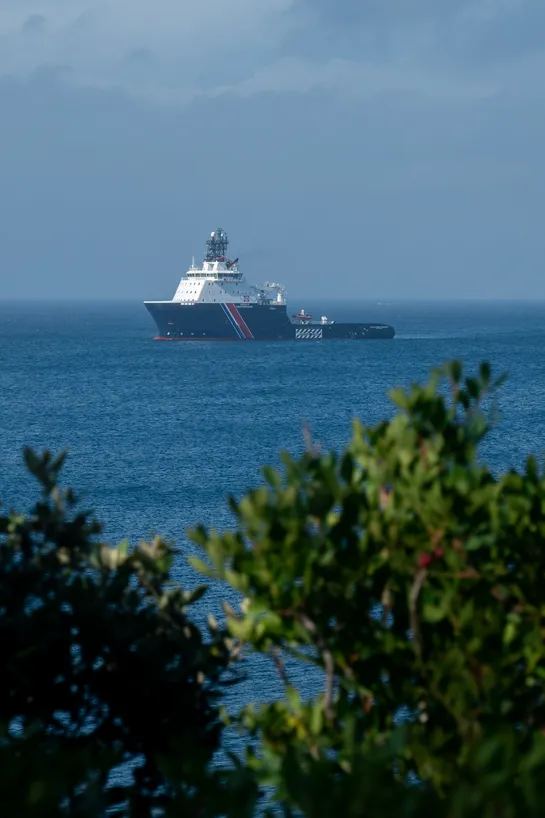 A big ship floats in the sea far away, some foliage partly obscures the view
