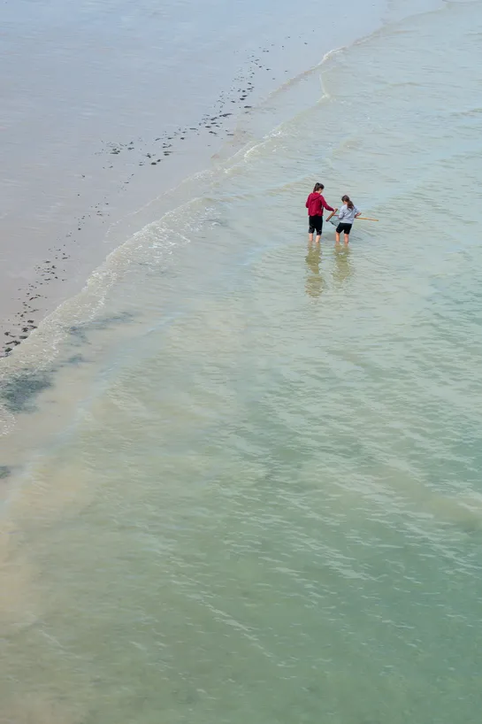 On the beach, in the water, two young people use nets to catch fish