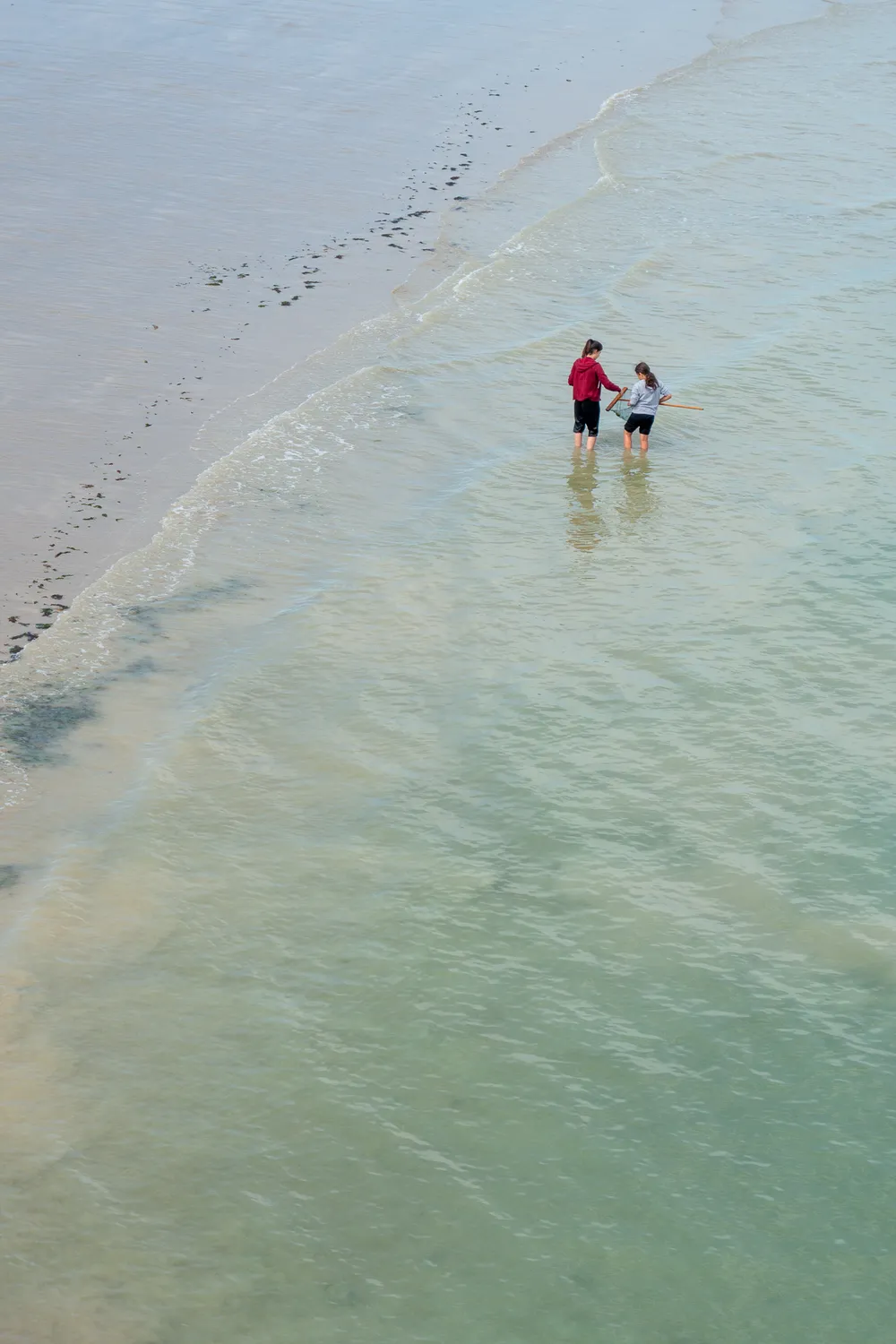 On the beach, in the water, two young people use nets to catch fish