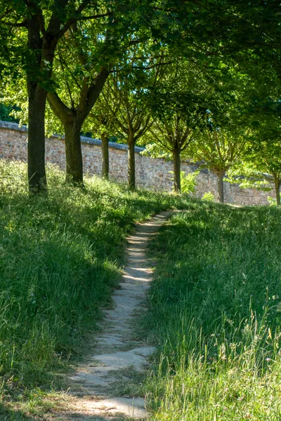 A small cycling dirt path in tall grass, sun coming through the trees on the left. In the background, a stone wall.