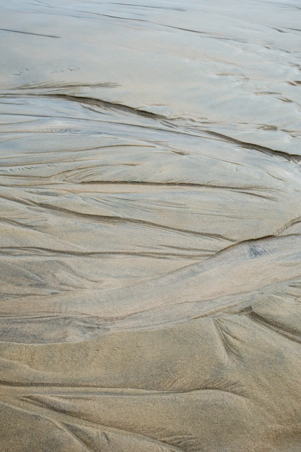 Texture of the sand after the tide came down, forming small water canals.