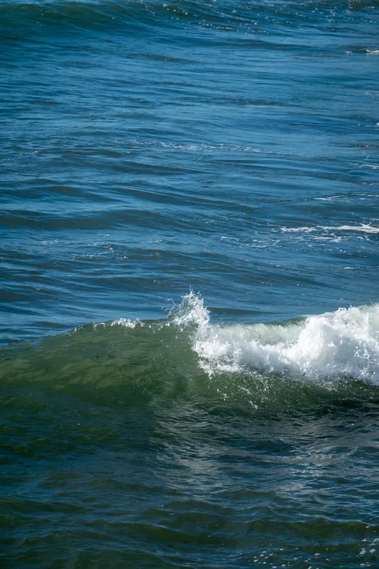 A small wave crashing down, frozen in time by the shutter speed all droplets can be seen