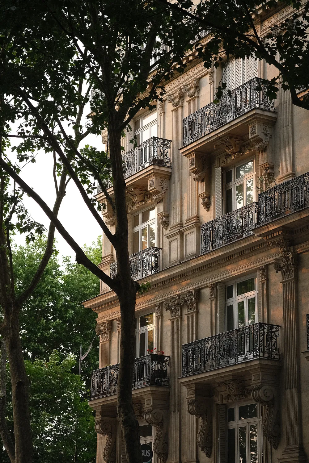 A Haussmanian building bathed in the sunset light, behind some tall thin trees