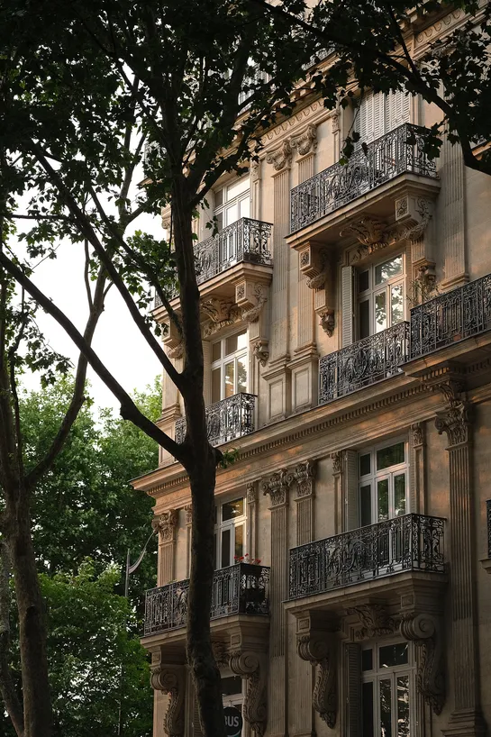 A Haussmanian building bathed in the sunset light, behind some tall thin trees
