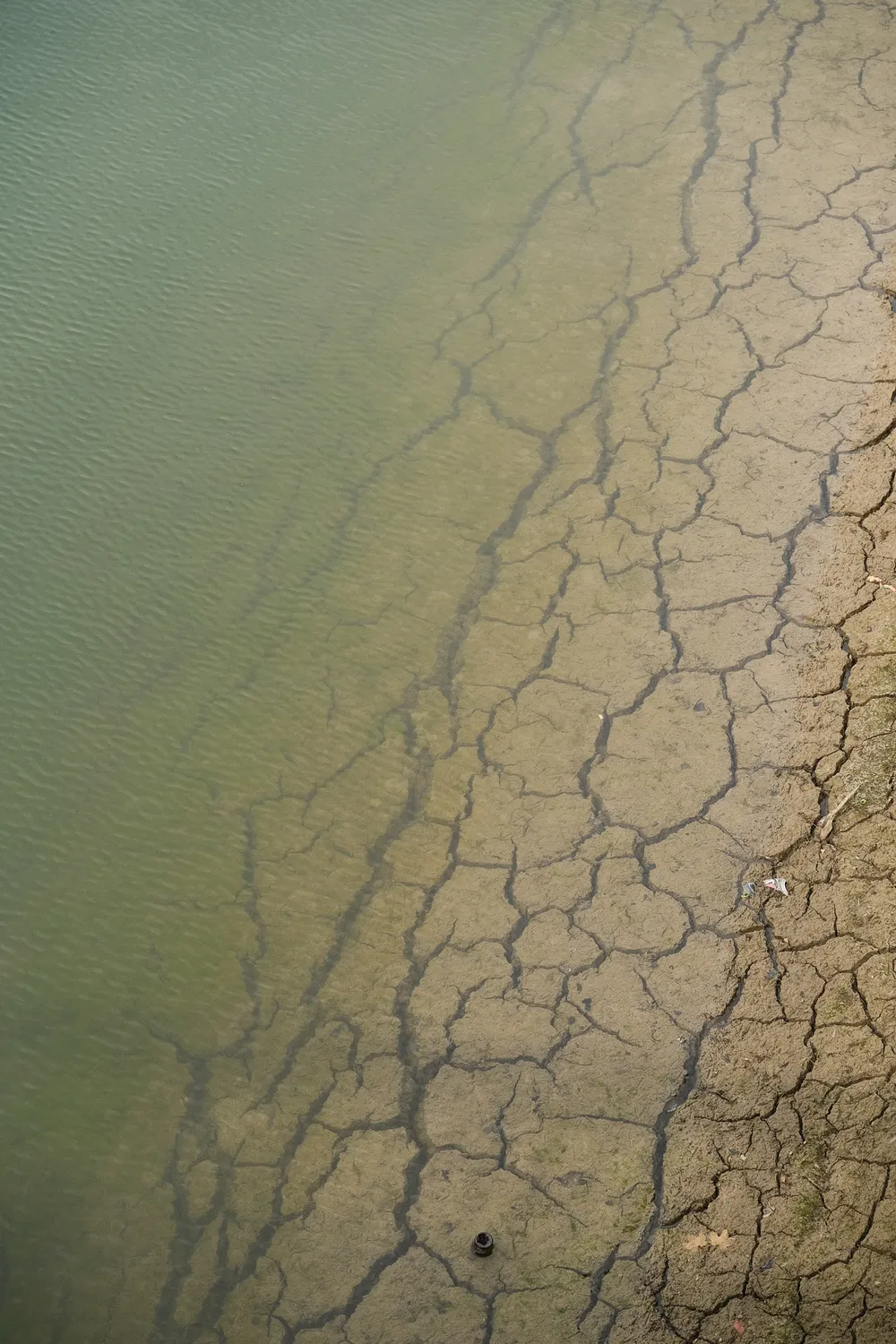 Mud cracks of an arid landscape, yet covered by water