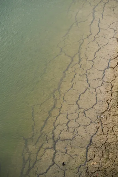 Mud cracks of an arid landscape, yet covered by water