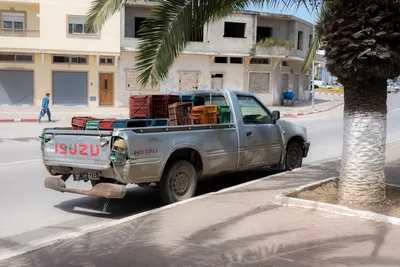 A long pickup truck is parked on the side of the road, next to a palm tree
