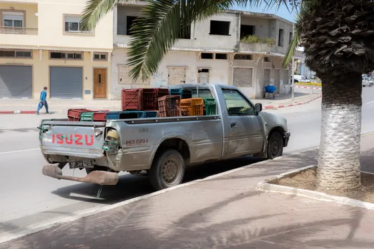 A long pickup truck is parked on the side of the road, next to a palm tree