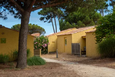 Small yellow houses separated by a dirt path, beneath trees