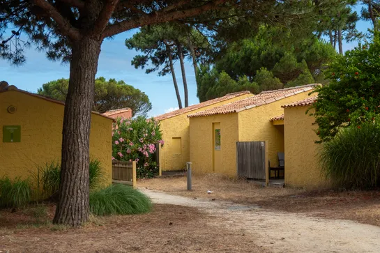 Small yellow houses separated by a dirt path, beneath trees