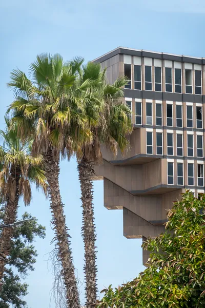 A inverted pyramidal building behind some palm trees